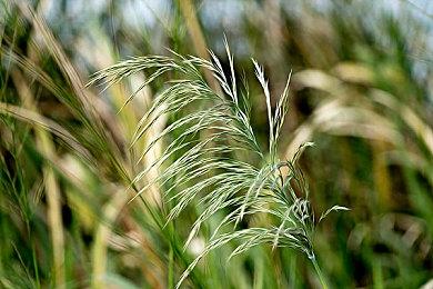 《夺宝奇兵：古老之圈》官宣4月17日登陆PS5 将为PS5 Pro视觉优化